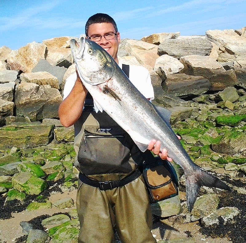 32" 11 pound Gator