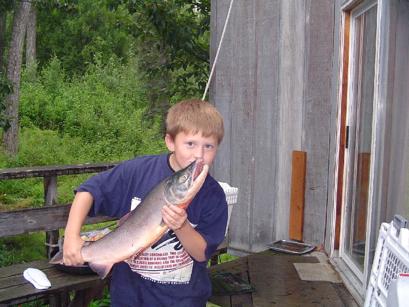 Back Yard Salmon, Palmer, AK