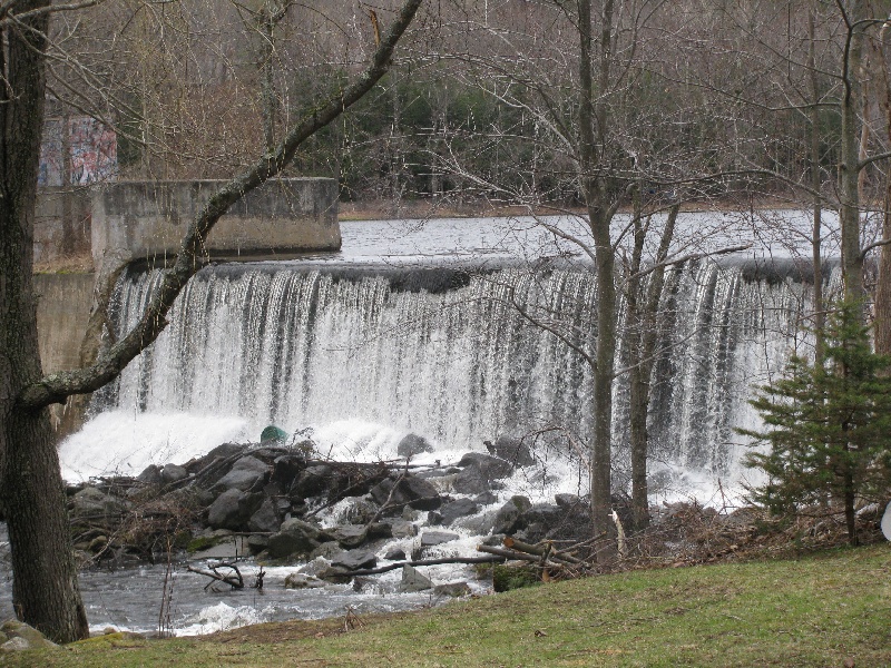 Mc Taggarts Pond